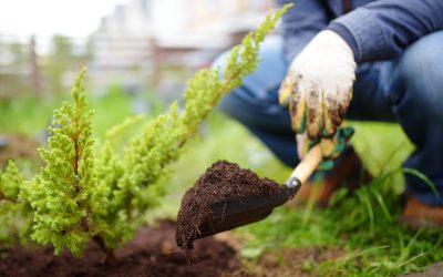 Five Important Tools For Effective Gardening