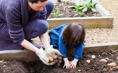 Easy Ways To Make Gardening Fun For Kids