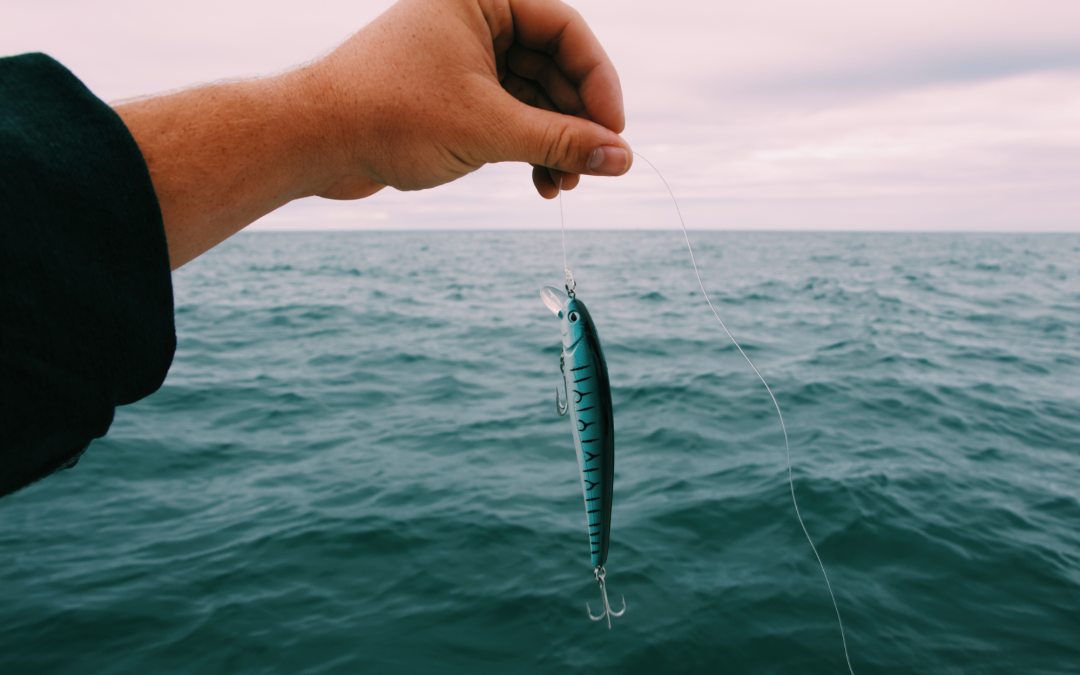 4 Different Kinds of Baits You Can Use for Fishing